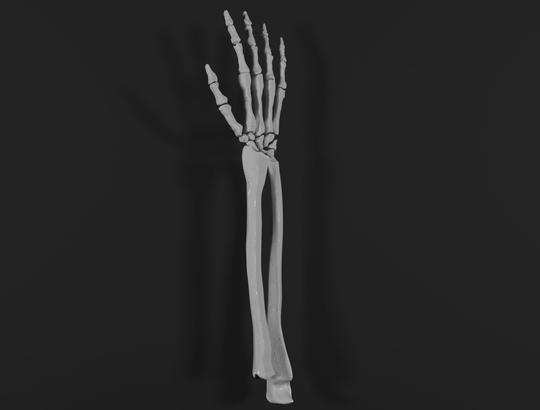 Right Hand 3D model_1