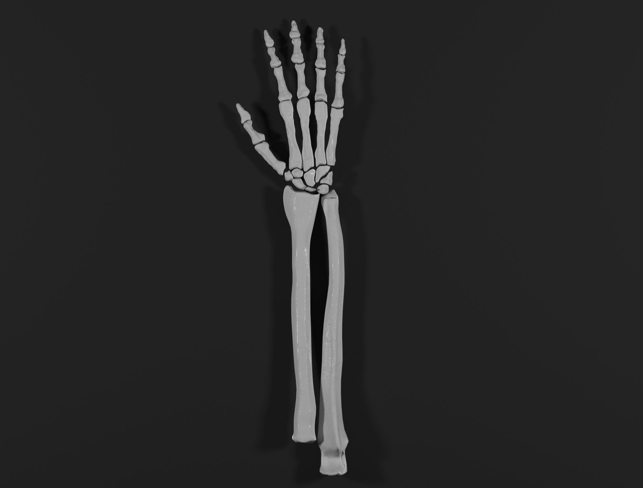Right Hand 3D model_0