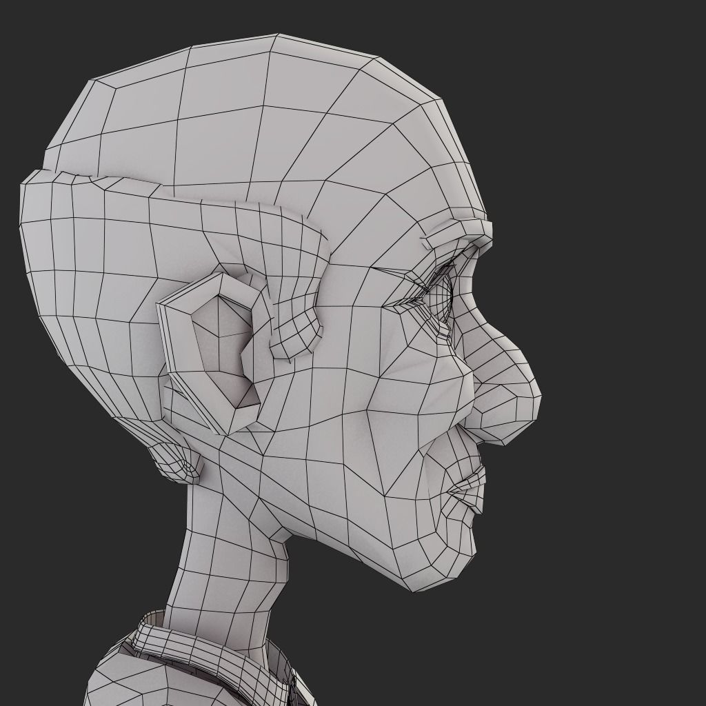 Veera Rig 3D model_11