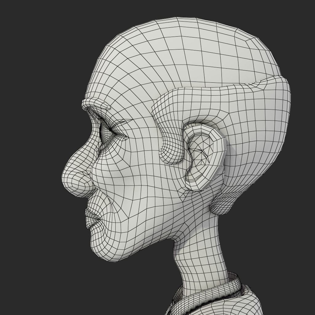 Veera Rig 3D model_13