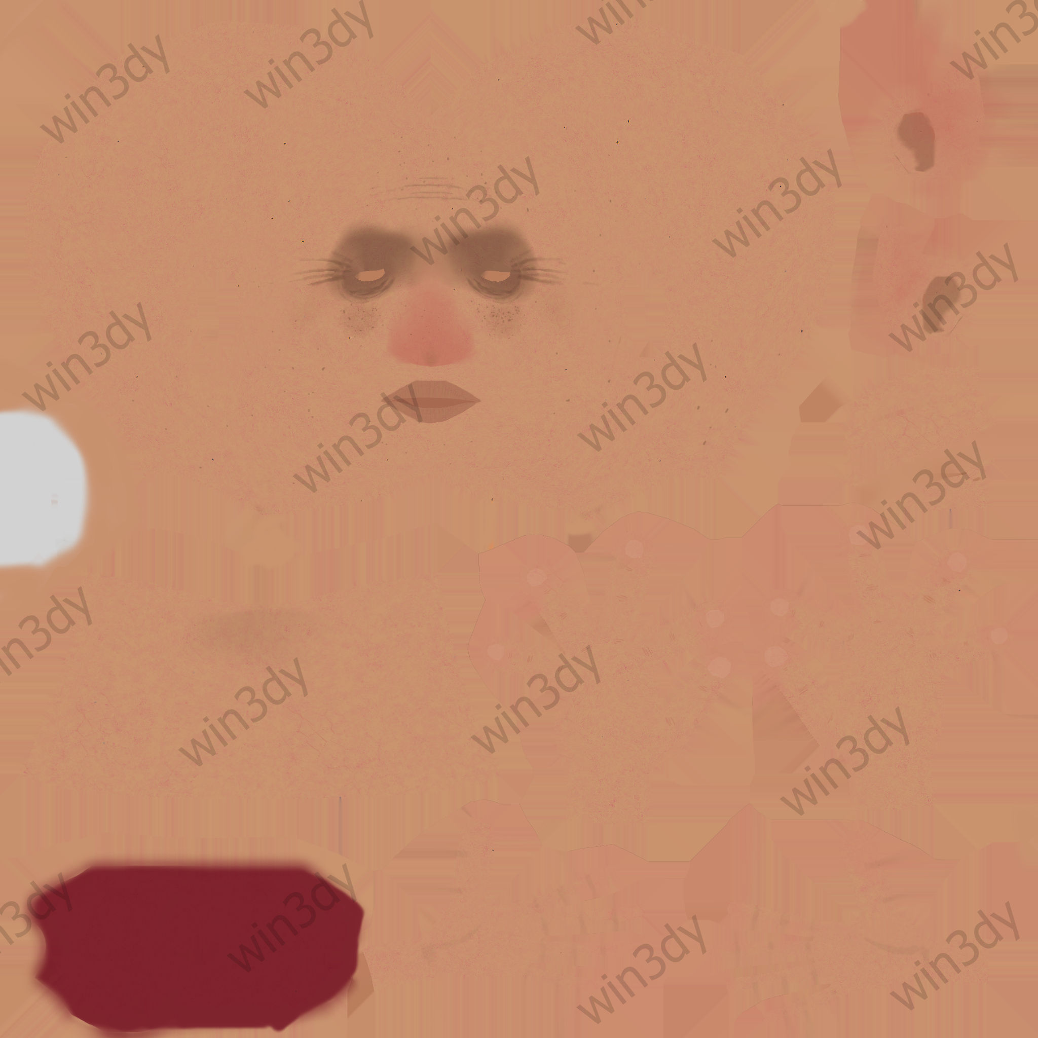 Veera Rig 3D model_31