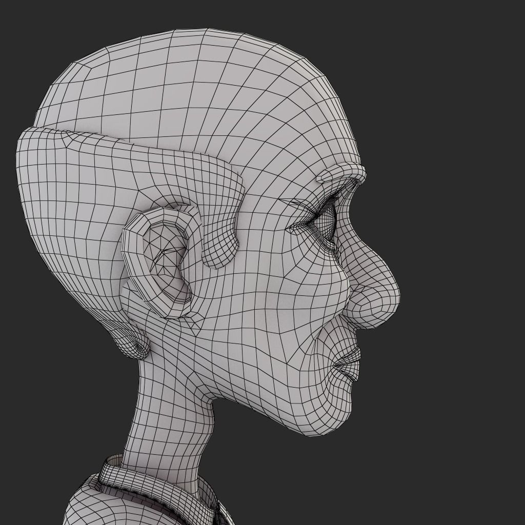 Veera Rig 3D model_15