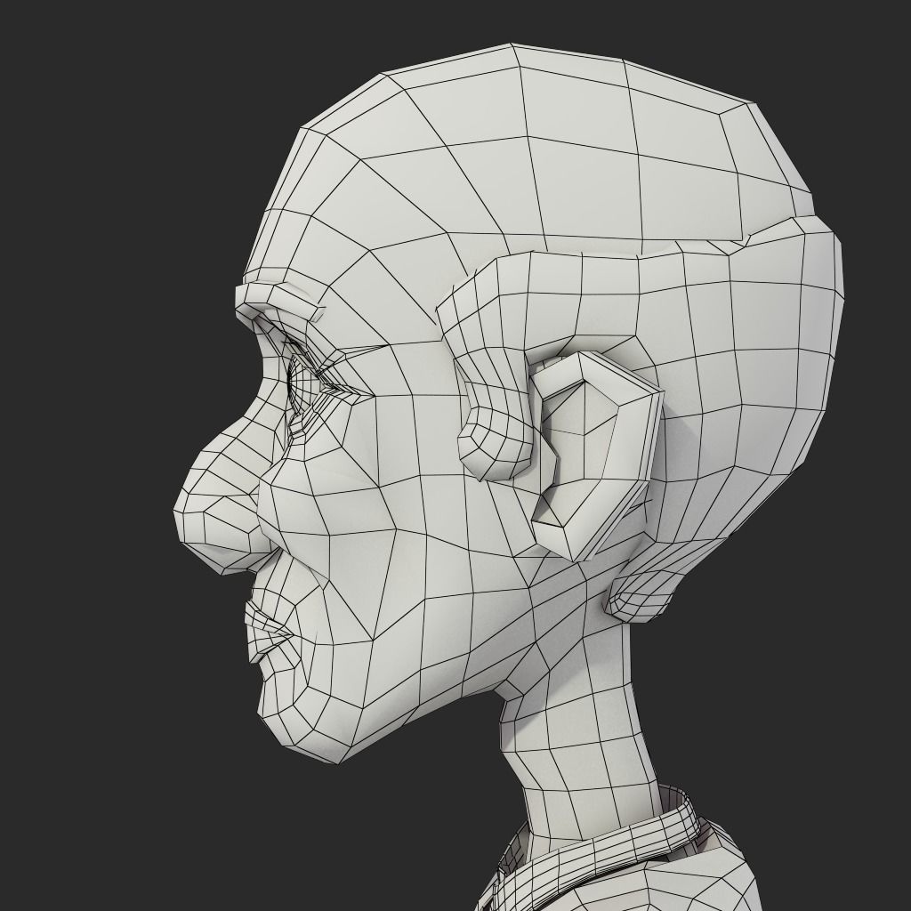 Veera Rig 3D model_9