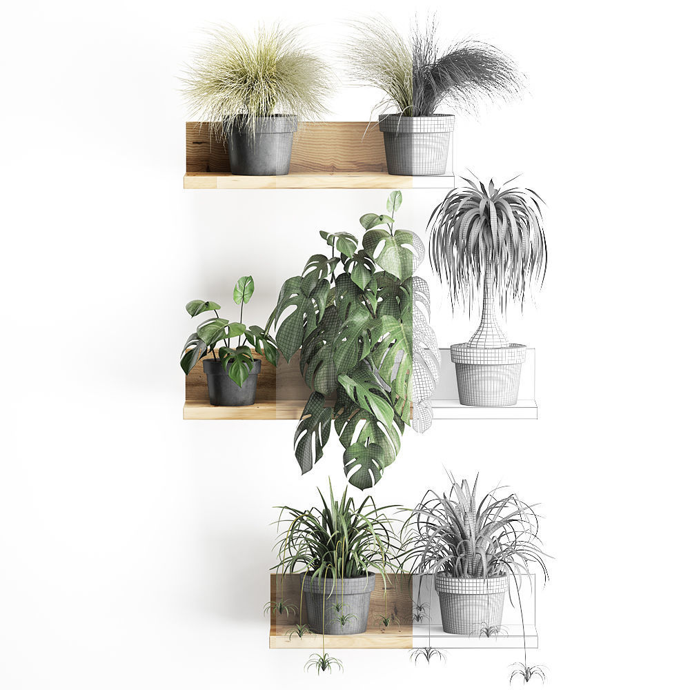 Plant set wall decor vertical garden 48 3D model_4