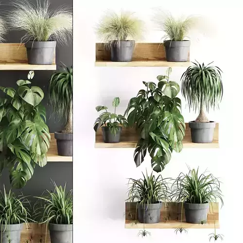 Plant set wall decor vertical garden 48 3D model