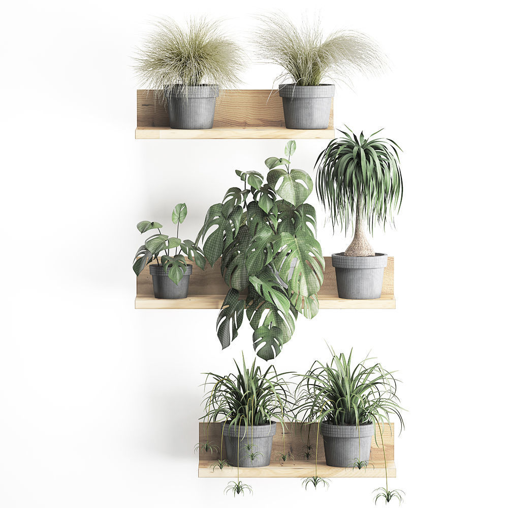 Plant set wall decor vertical garden 48 3D model_5