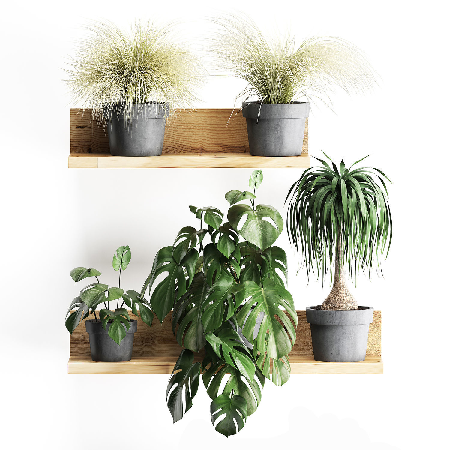 Plant set wall decor vertical garden 48 3D model_2