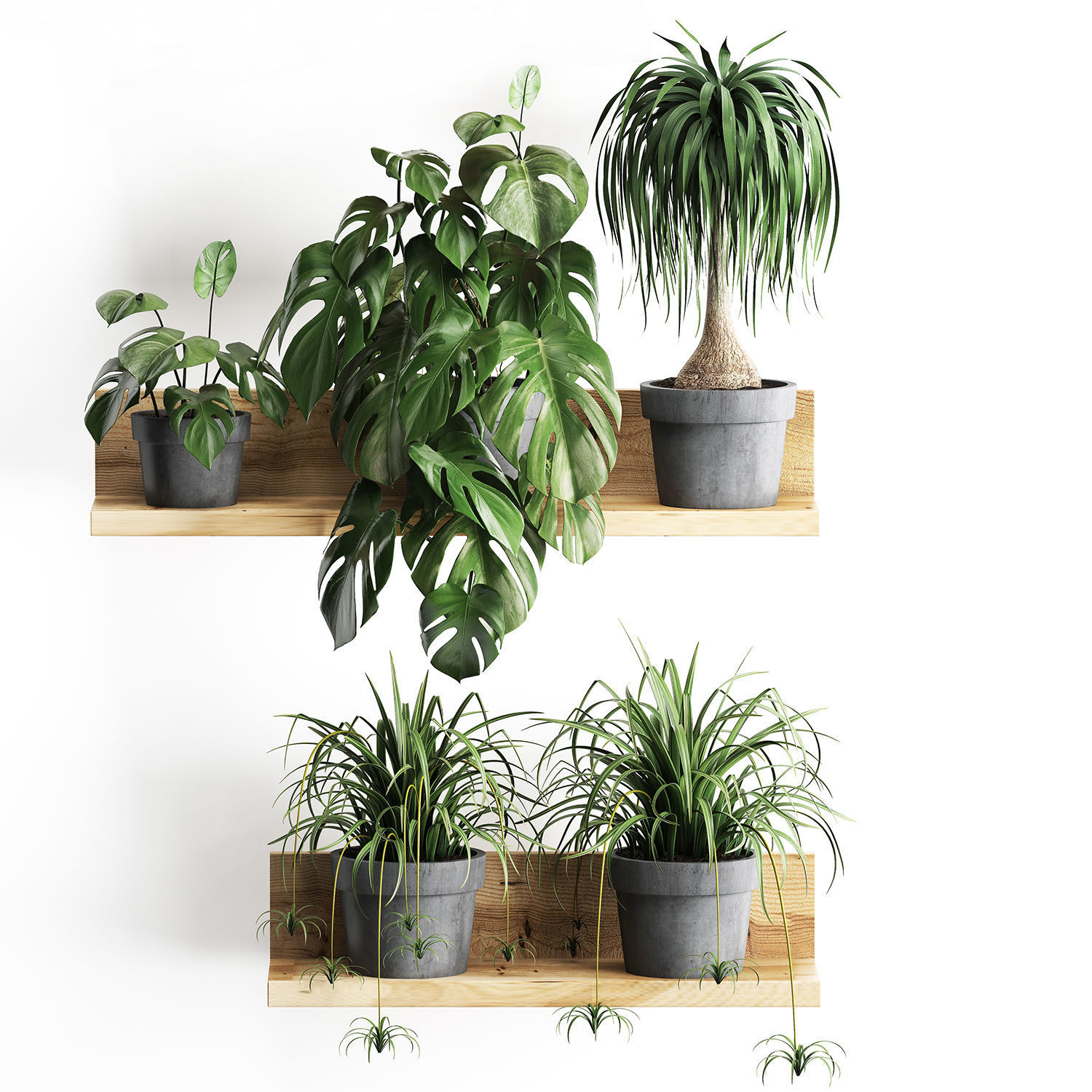 Plant set wall decor vertical garden 48 3D model_3