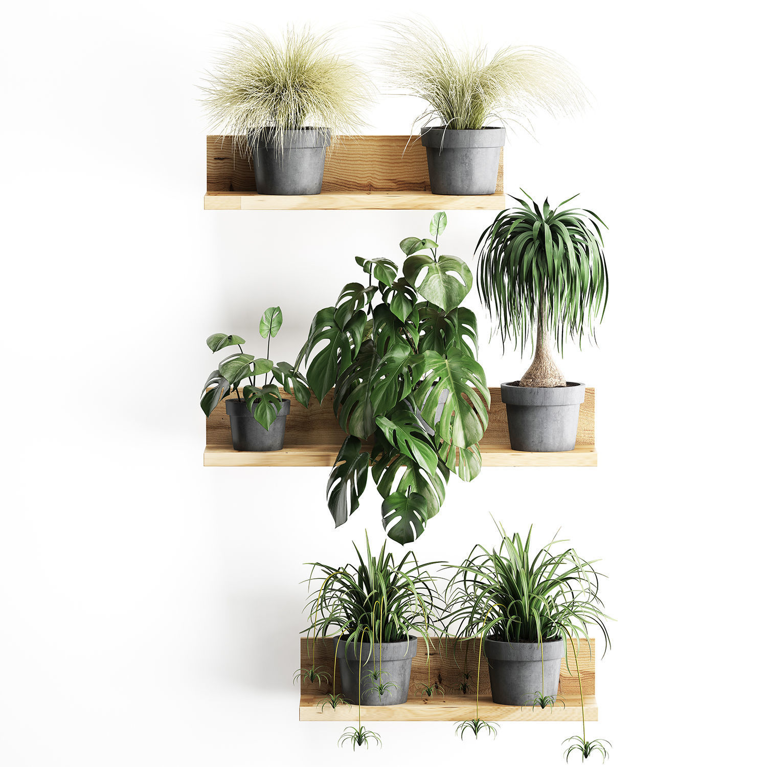 Plant set wall decor vertical garden 48 3D model_1