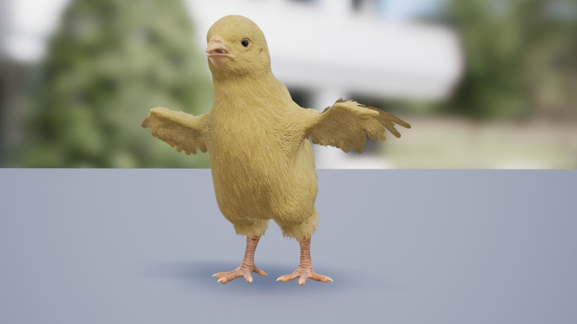 Chick Low-poly 3D model_12