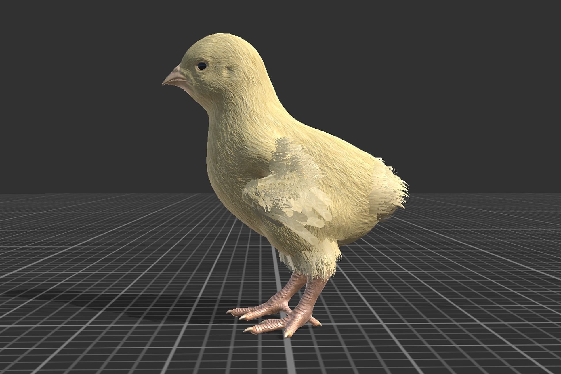 Chick Low-poly 3D model_2