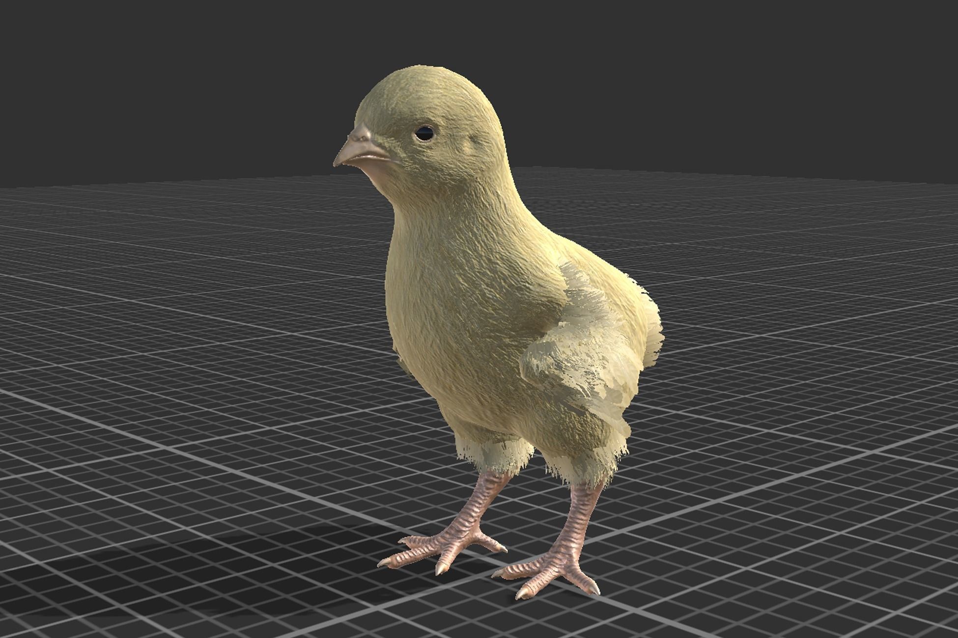Chick Low-poly 3D model_3