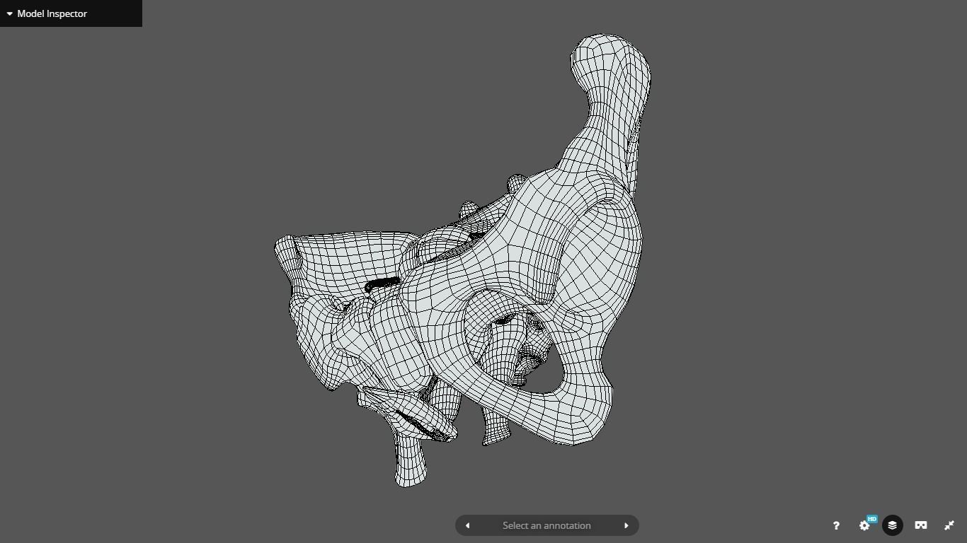 Female Reproductive System Low-poly 3D model_4