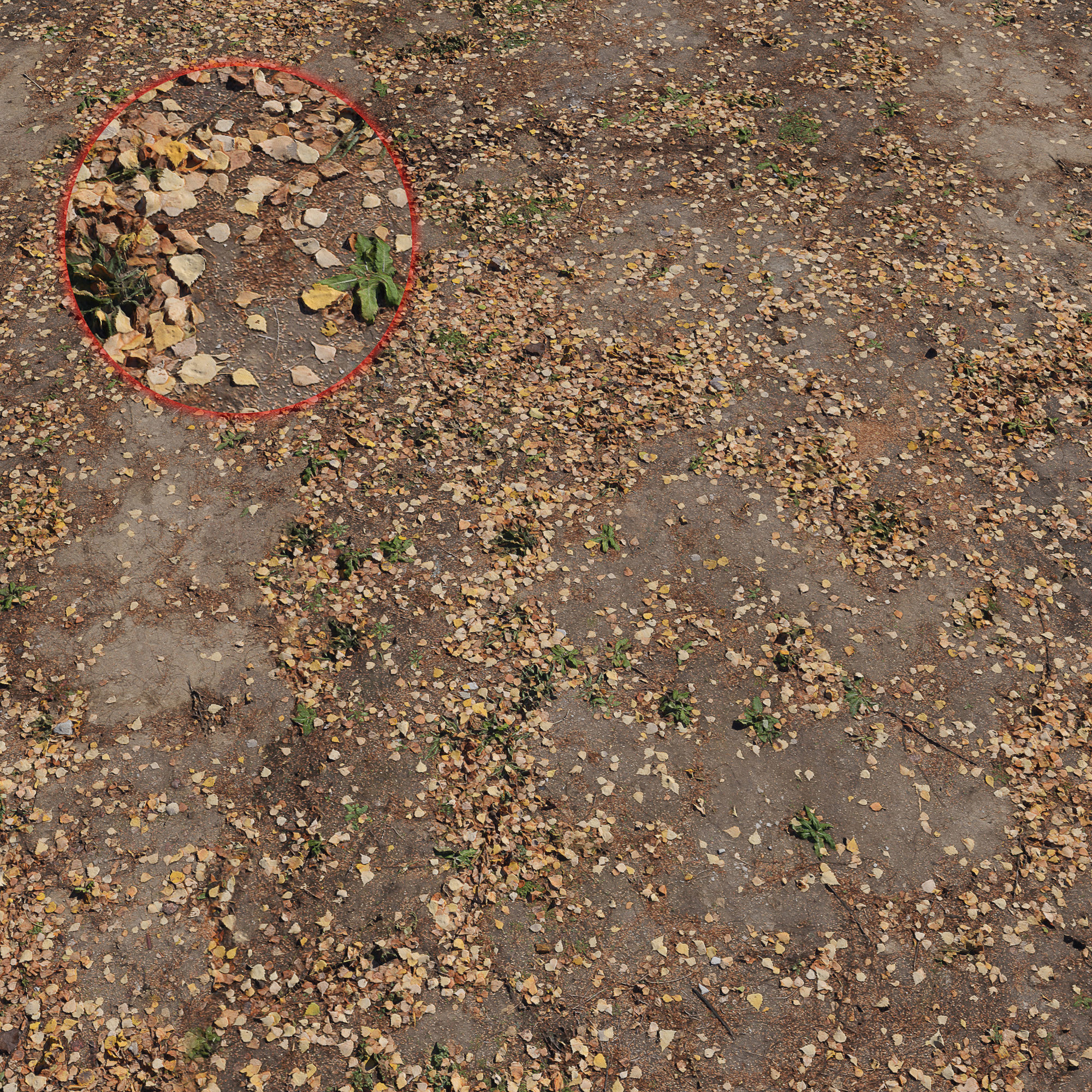 Ground autumn scan 2 3D model_1