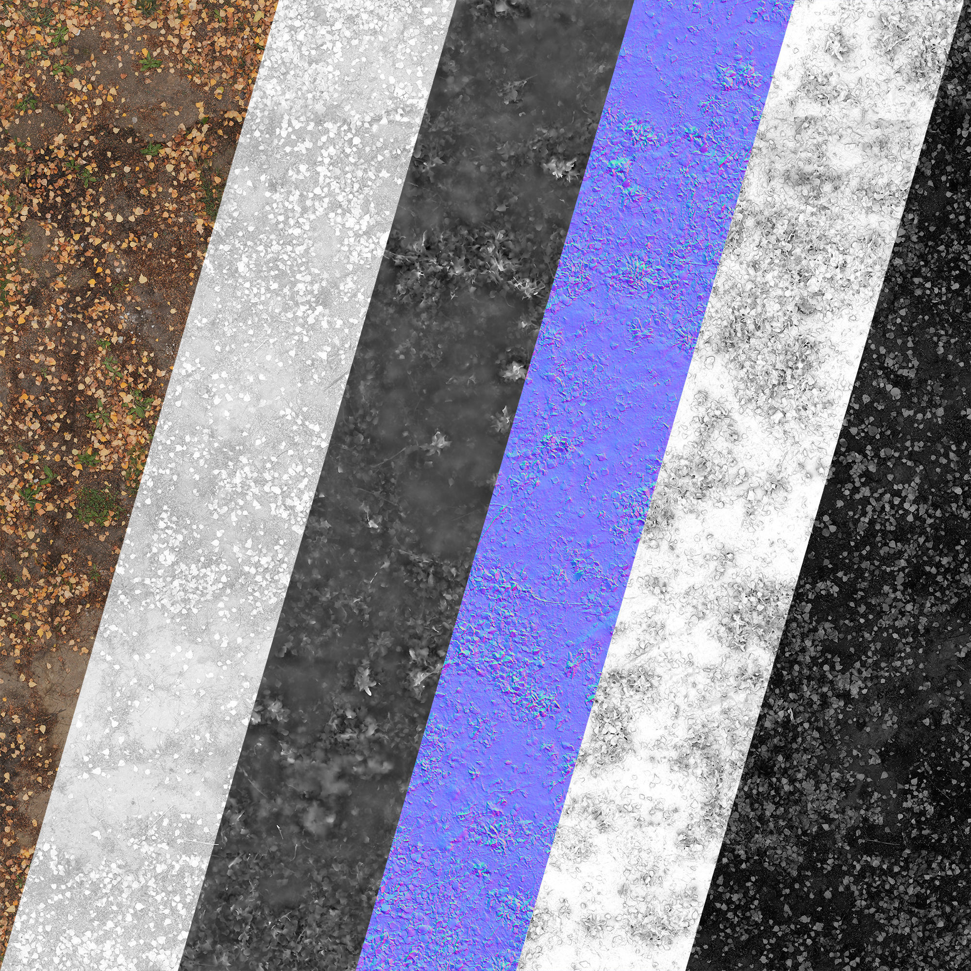 Ground autumn scan 2 3D model_3