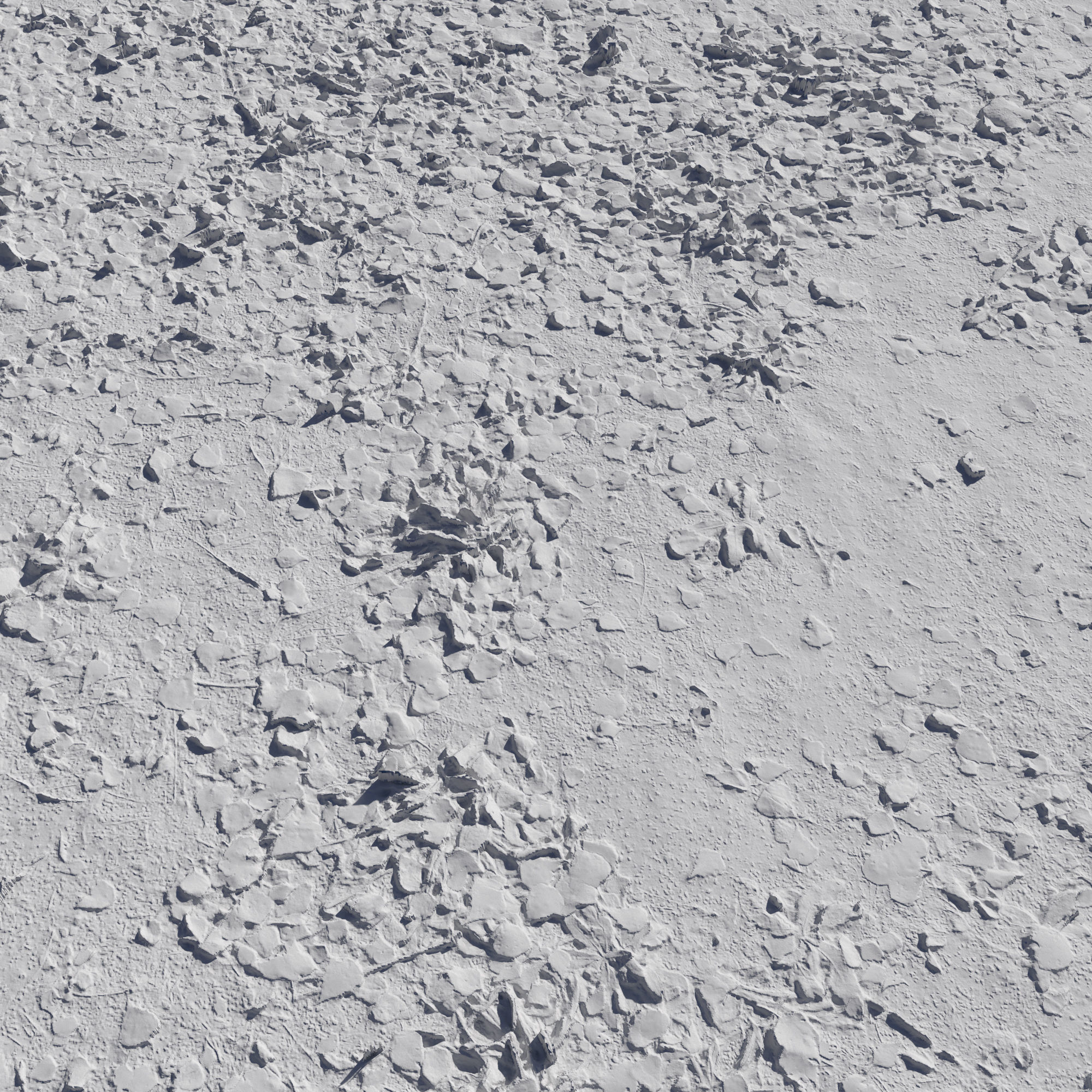 Ground autumn scan 2 3D model_2