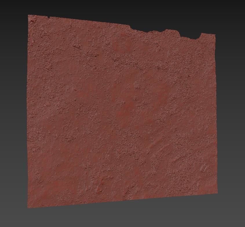 Ground autumn scan 2 3D model_9