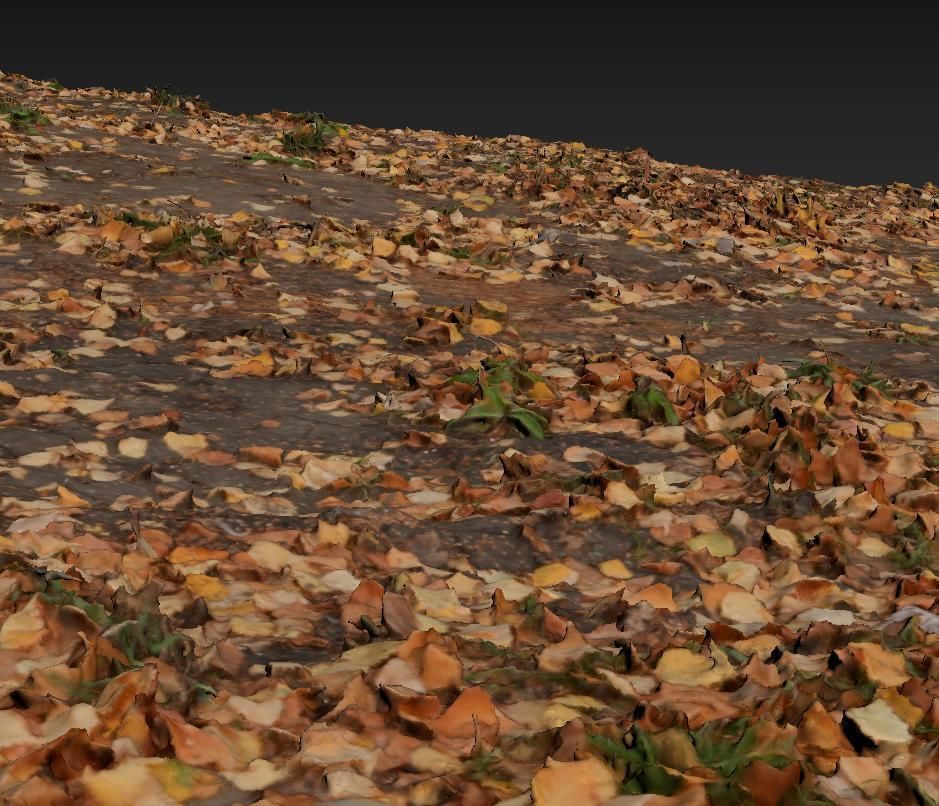 Ground autumn scan 2 3D model_8