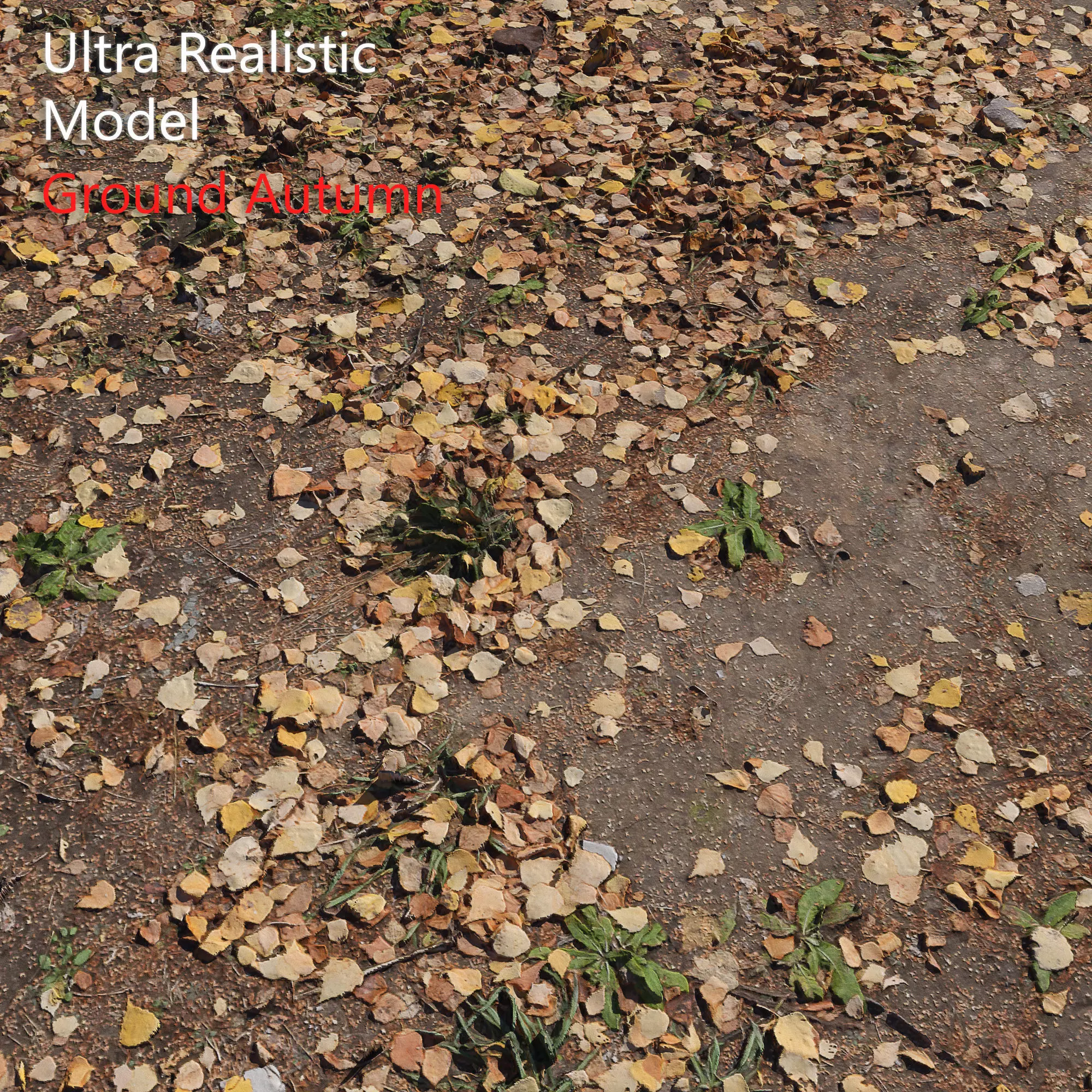 Ground autumn scan 2 3D model_0