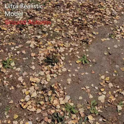 Ground autumn scan 2 3D model