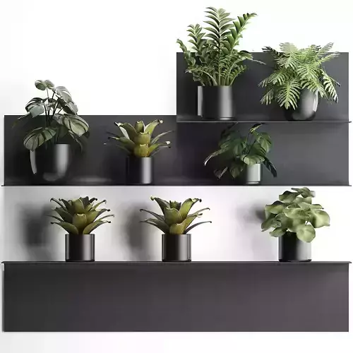 Plant set wall decor vertical garden 50