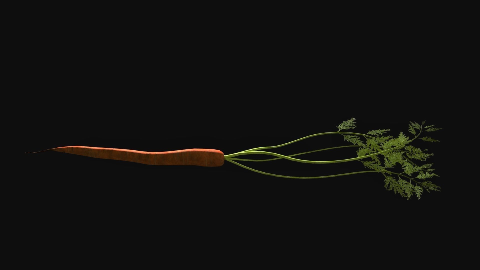 Carrot with Leaves Free low-poly 3D model_2