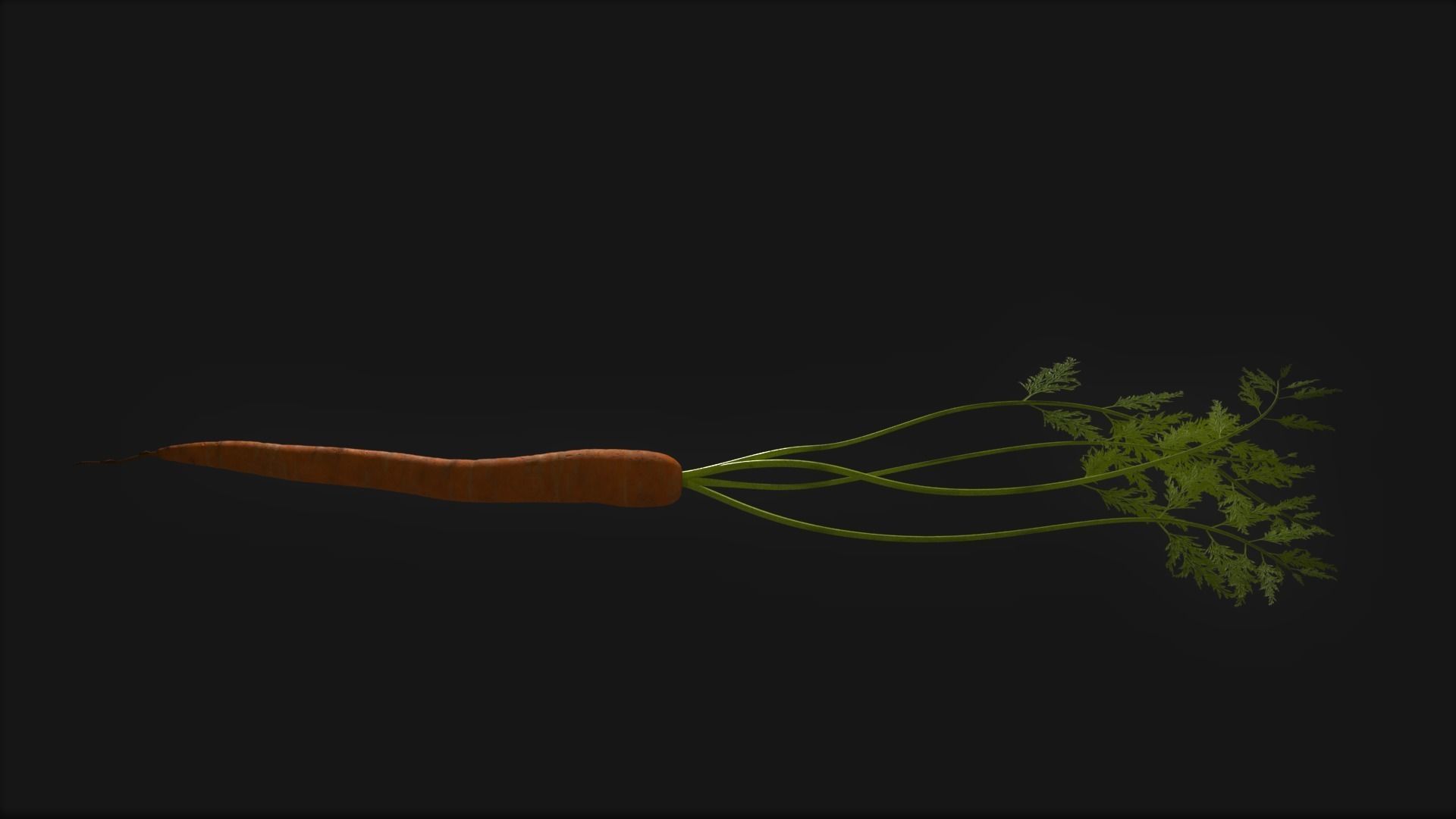 Carrot with Leaves Free low-poly 3D model_4