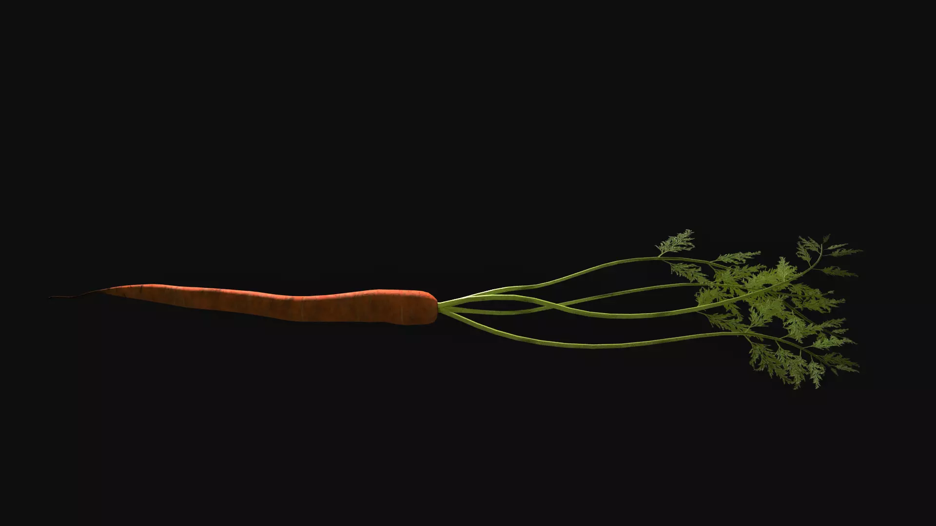 Carrot with Leaves Free low-poly 3D model_0