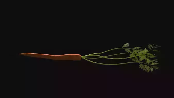 Carrot with Leaves Free low-poly 3D model