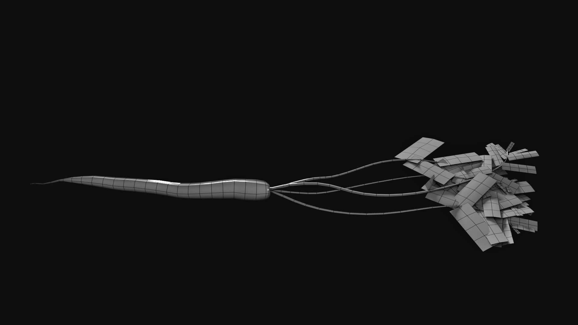 Carrot with Leaves Free low-poly 3D model_3