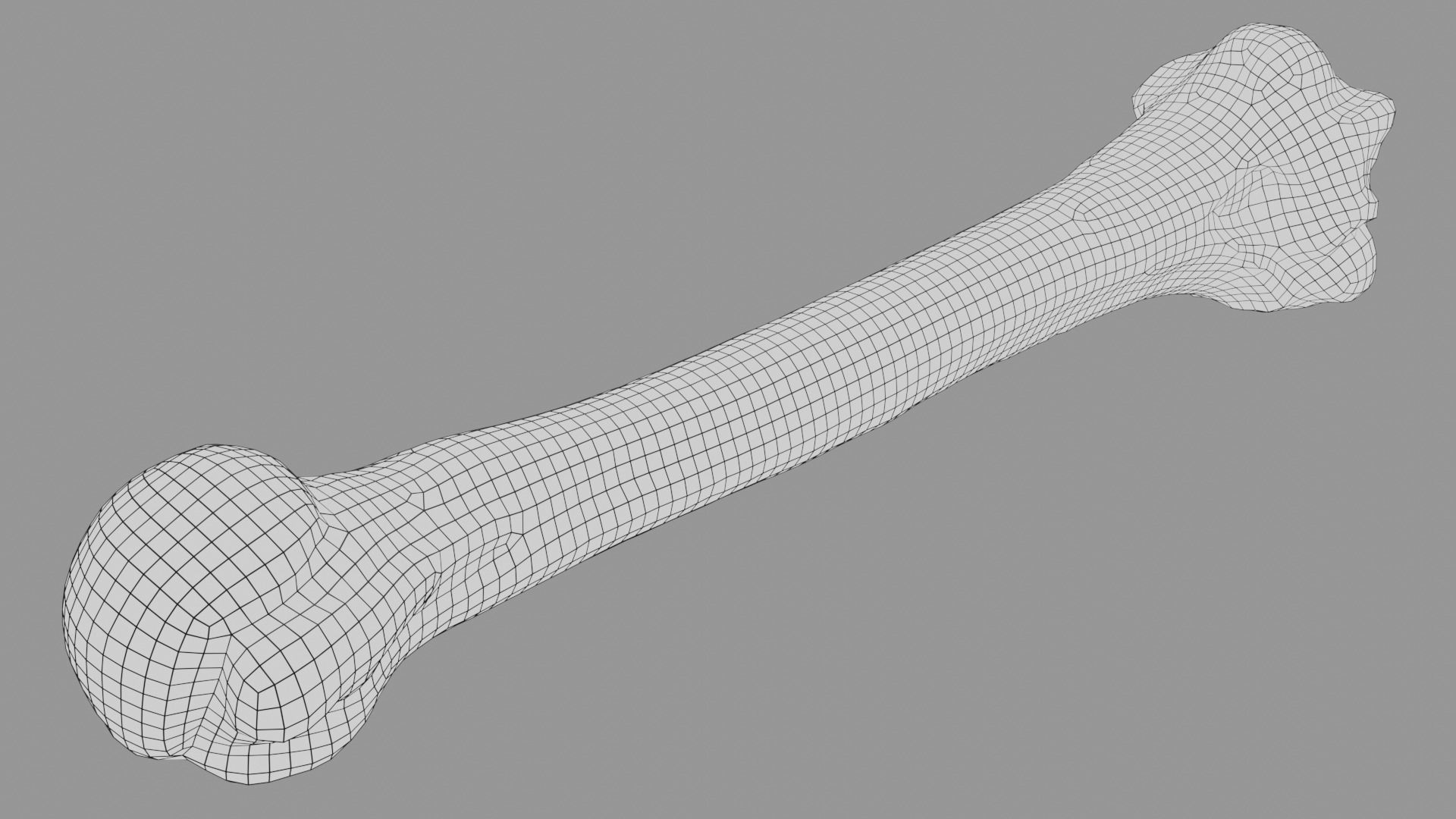 Human humerus bone 3D model_4