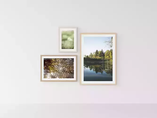 Picture Frames Nature I