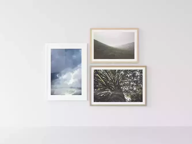 Picture Frames Nature II