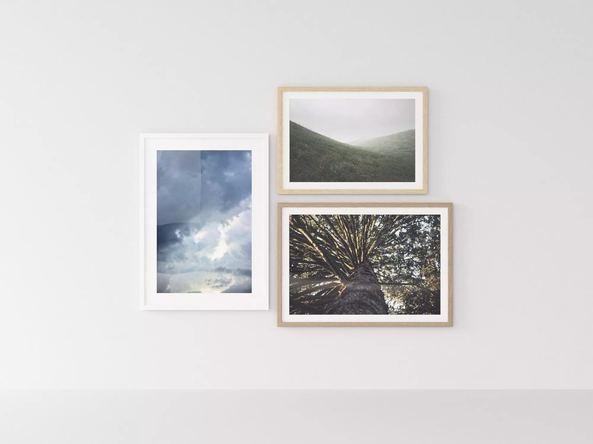 Picture Frames Nature II 3D model_0