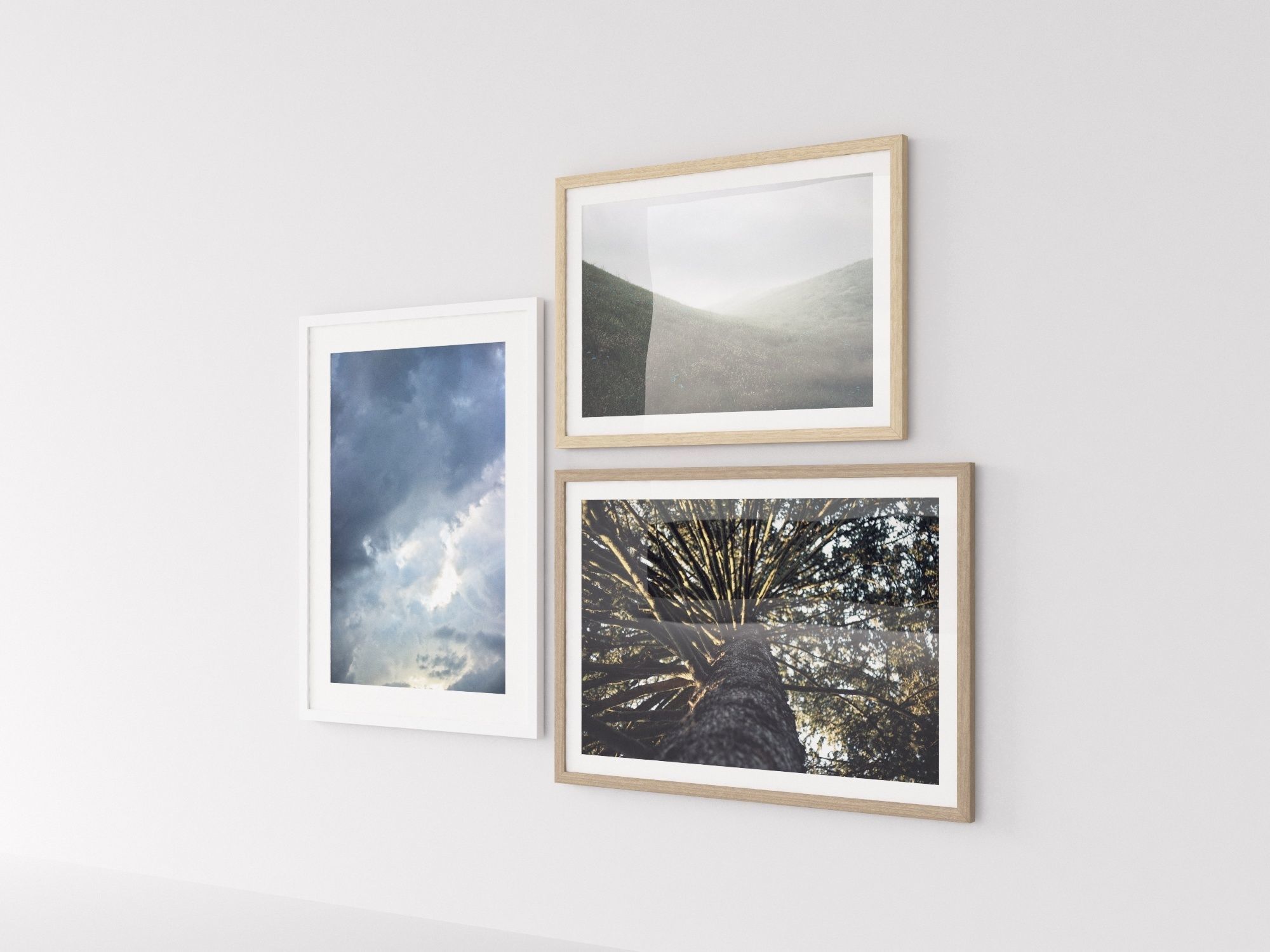 Picture Frames Nature II 3D model_2