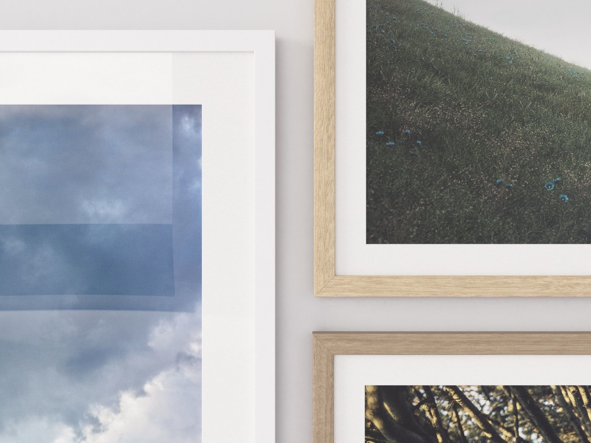 Picture Frames Nature II 3D model_4