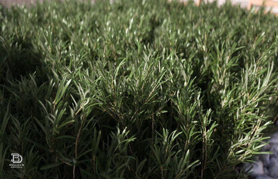 Modern Pool Villa V-ray 3 Cinema 4D 3D model_35