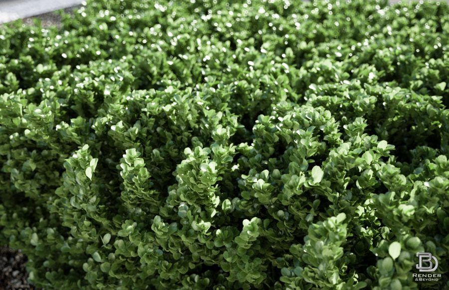 Modern Pool Villa V-ray 3 Cinema 4D 3D model_33