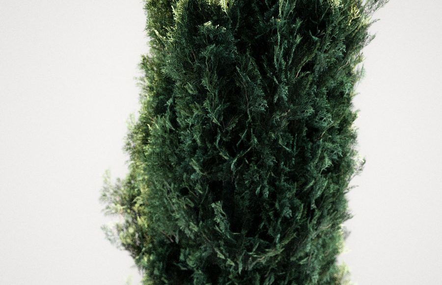 Modern Pool Villa V-ray 3 Cinema 4D 3D model_36