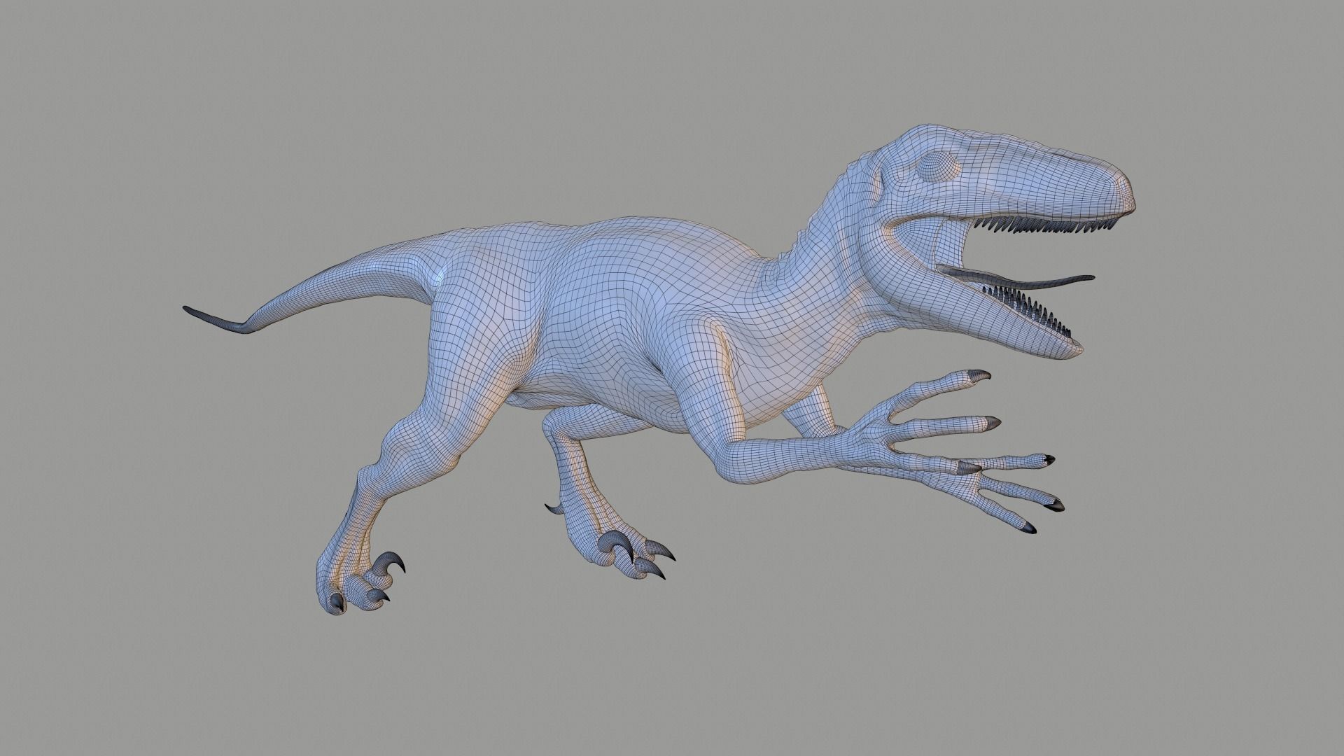 Velociraptor dinosaur 3D model_6