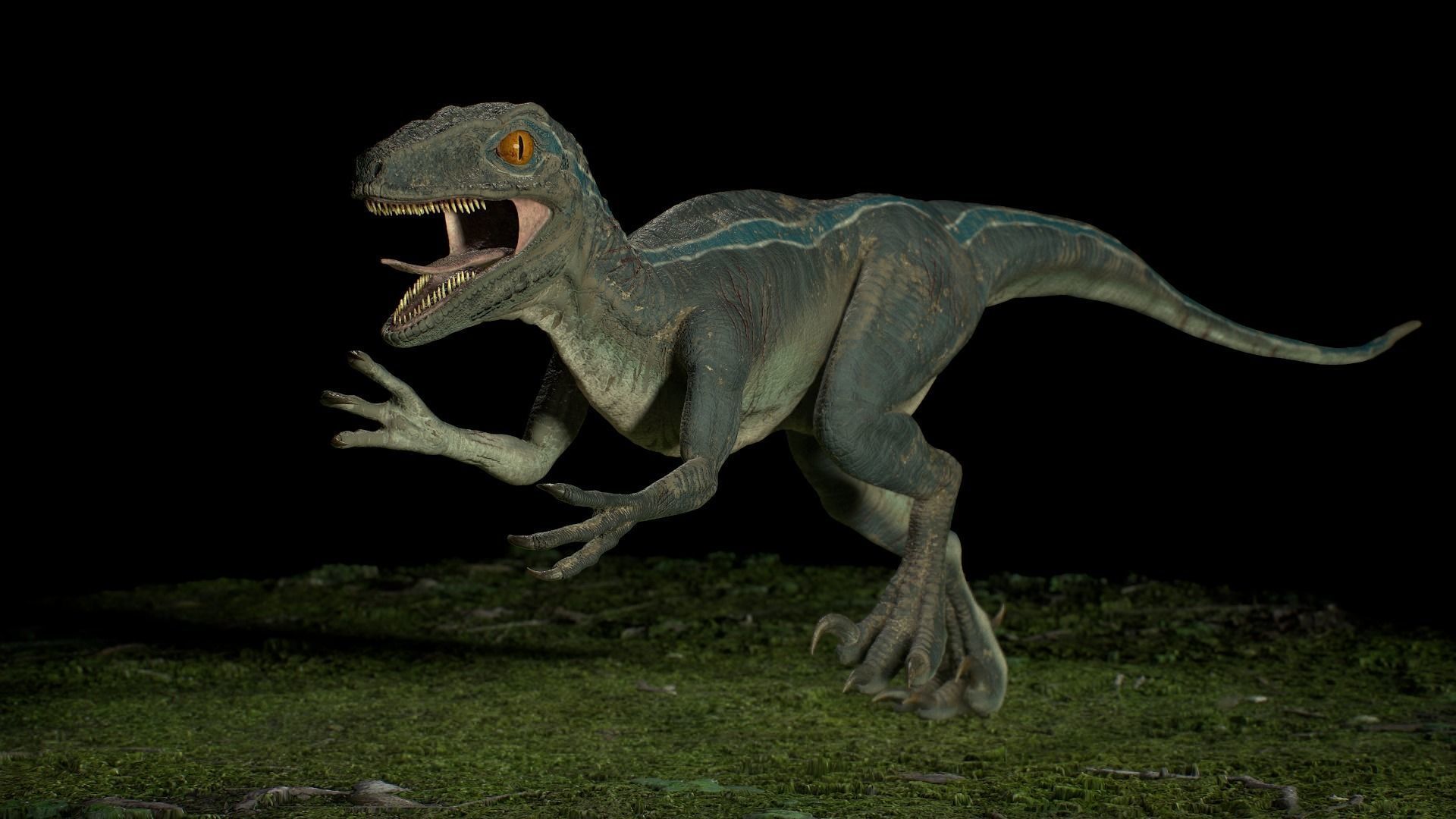 Velociraptor dinosaur 3D model_4