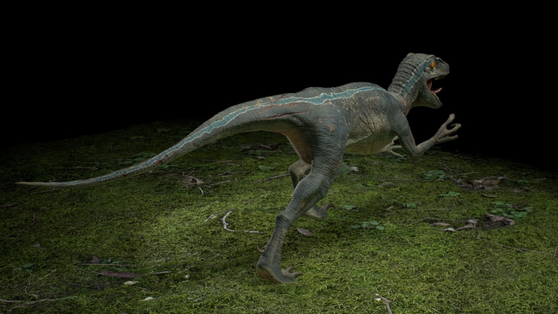 Velociraptor dinosaur 3D model_5