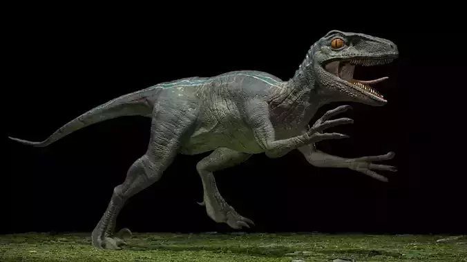 Velociraptor dinosaur