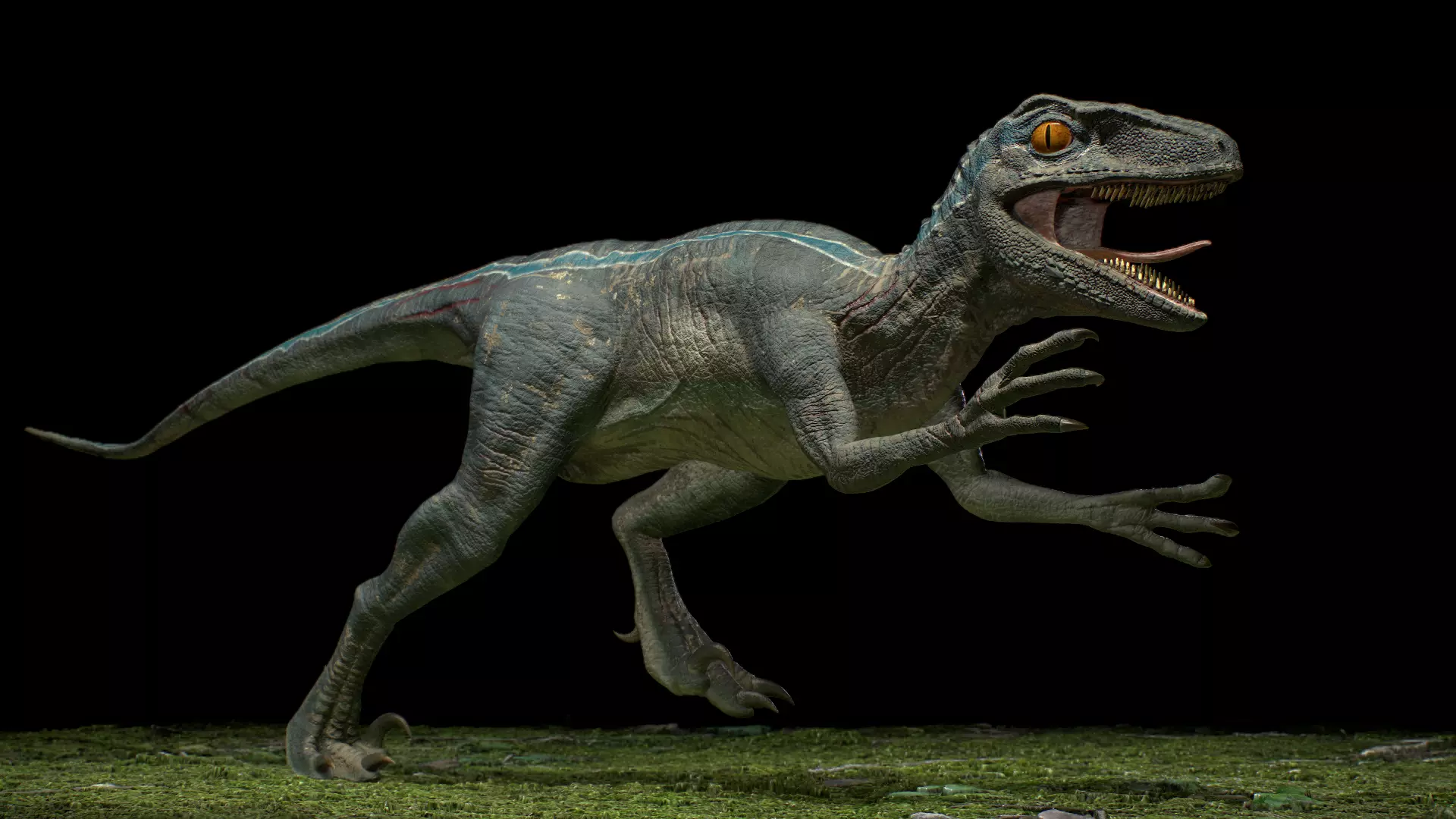 Velociraptor dinosaur 3D model_0
