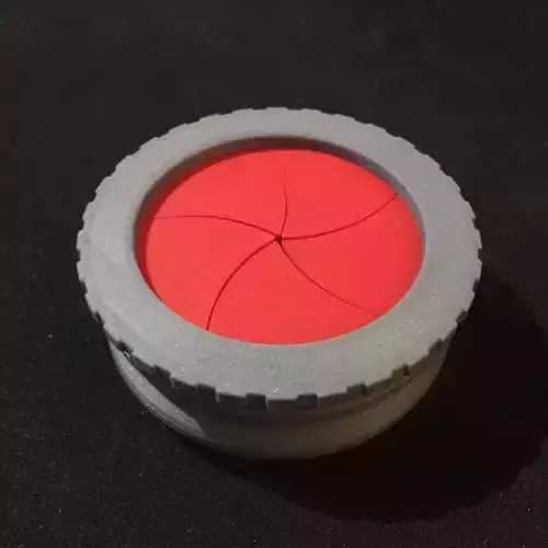 5 Petal Iris Gift Box 3D print model