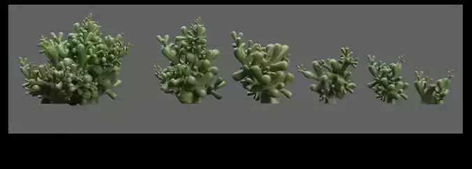stylized coral