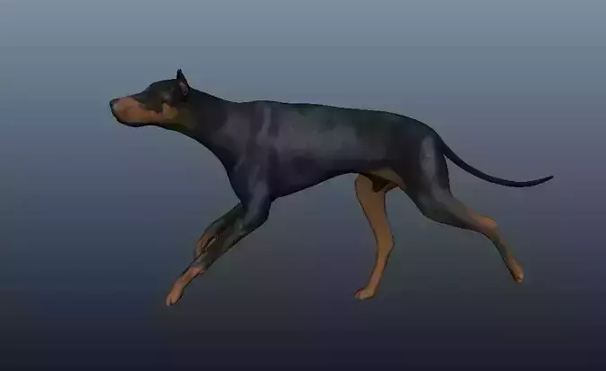 Dog 3D model rig Low-poly 3D model