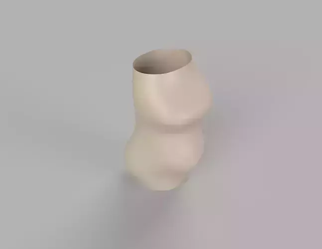 Pregnant vase - homage to beautiful women 3D print model