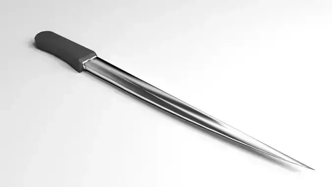 Fillet Knife