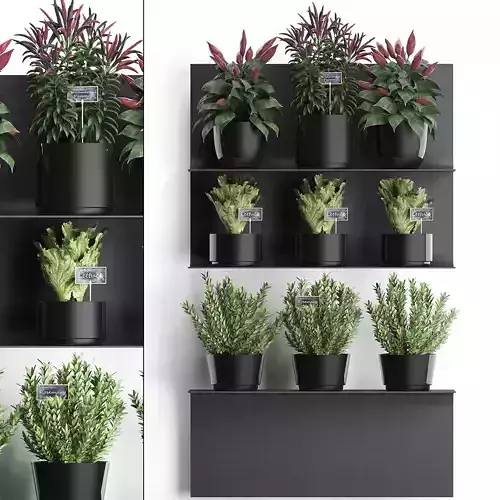 Plant set wall decor vertical garden 51 3D model